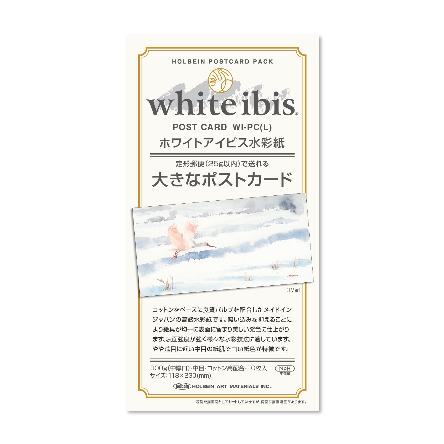 ホワイトアイビス水彩紙 大きなポストカード 300g 中目 WI-PC（L