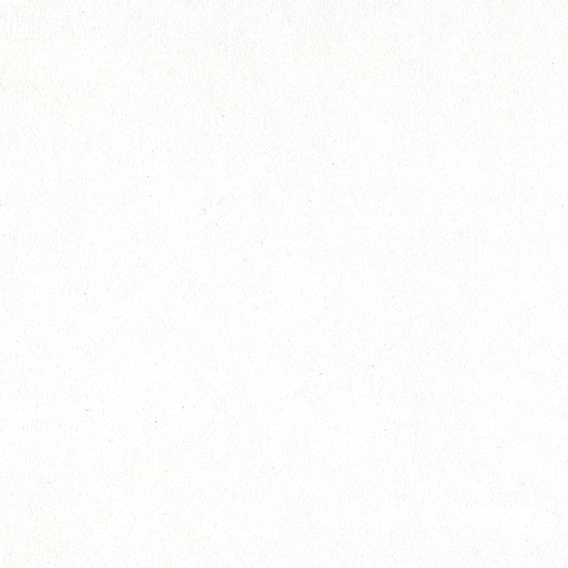 パンパステル 21005 チタニウム ホワイト
