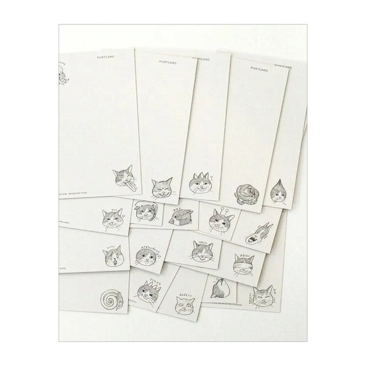 書籍「100 POSTCARDS [Animals]」 – ホルベイン オンラインショップ