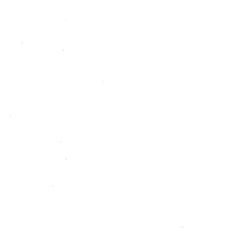 イージーペイント ホワイト