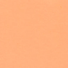 不透明水彩絵具〈ガッシュ〉ジョーン ブリヤン No.1