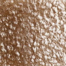 アーチスト色鉛筆 バーント アンバー