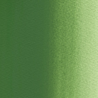 透明水彩絵具 テール ベルト