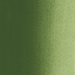 透明水彩絵具 グリーン グレイ