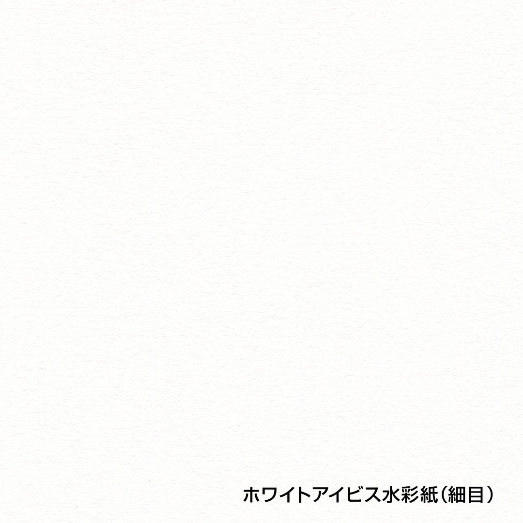 ホワイトアイビス水彩紙 ブロック 300g 細目 WIBH – ホルベイン