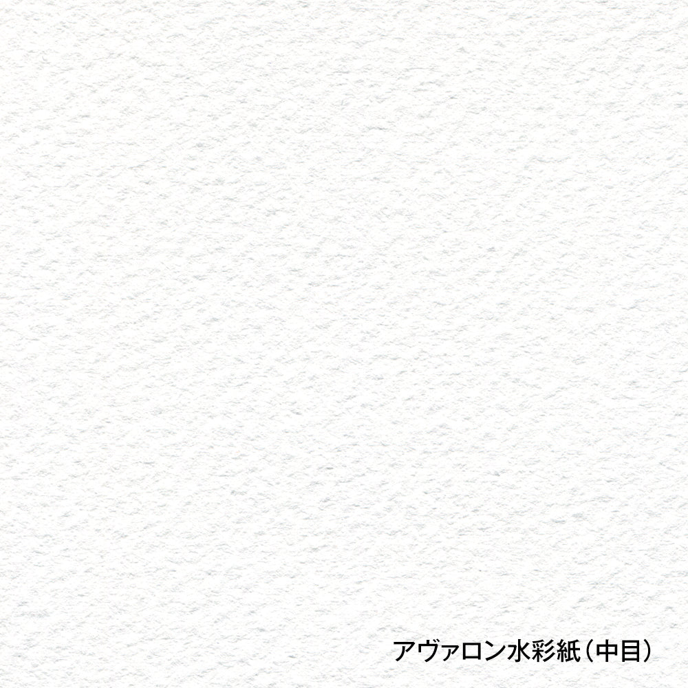 アヴァロン水彩紙 ブロック 300g 中目 AVB – ホルベイン オンライン