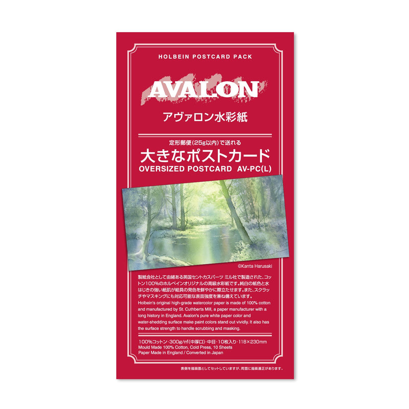 アヴァロン水彩紙 大きなポストカード 300g 中目 AV-PC（L）