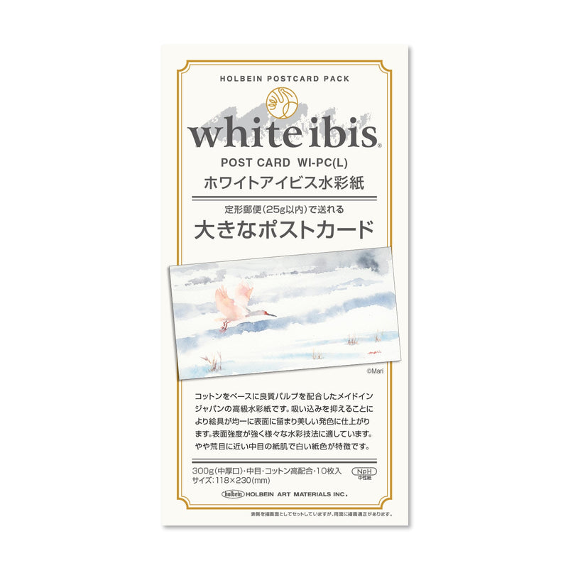 ホワイトアイビス水彩紙 大きなポストカード 300g 中目 WI-PC（L）