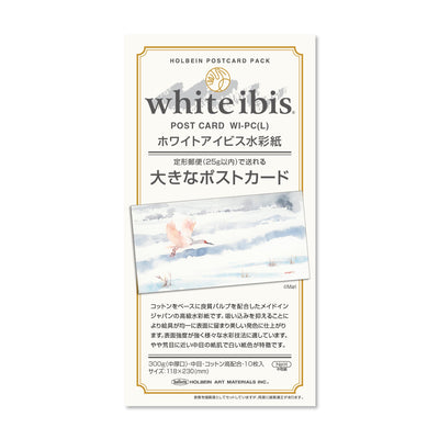 ホワイトアイビス水彩紙 大きなポストカード 300g 中目 WI-PC（L