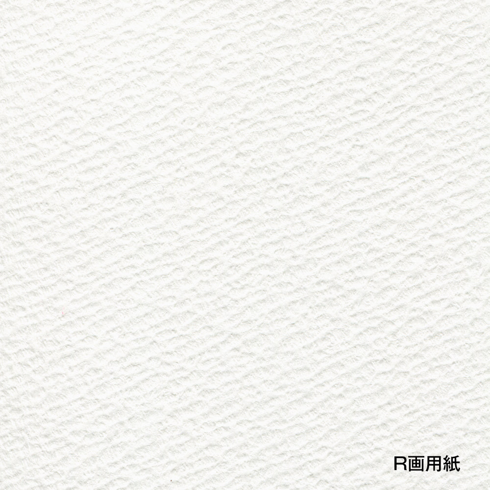 R画用紙 スプリング No.30シリーズ 30B-2 グレー F4 – ホルベイン