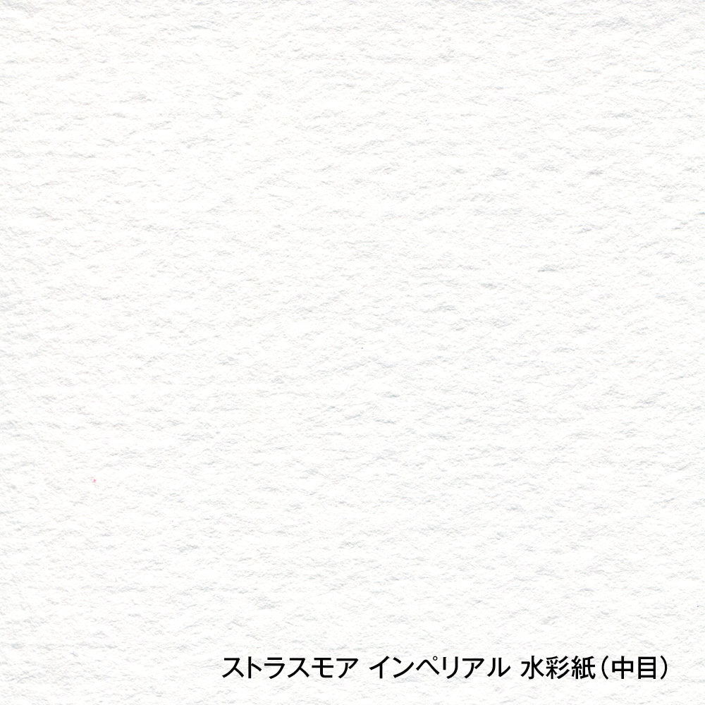 ストラスモア インペリアル水彩紙 スプリング 300g 中目 IS