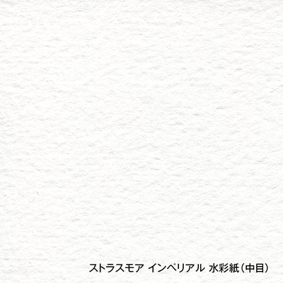 ストラスモア インペリアル水彩紙 スプリング 300g 中目 IS
