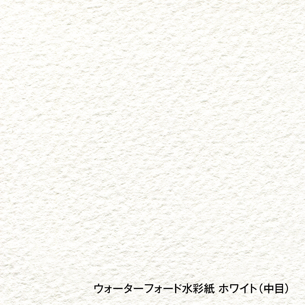 ウォーターフォード水彩紙 ホワイト ポストカード パック 300g 中目 EH
