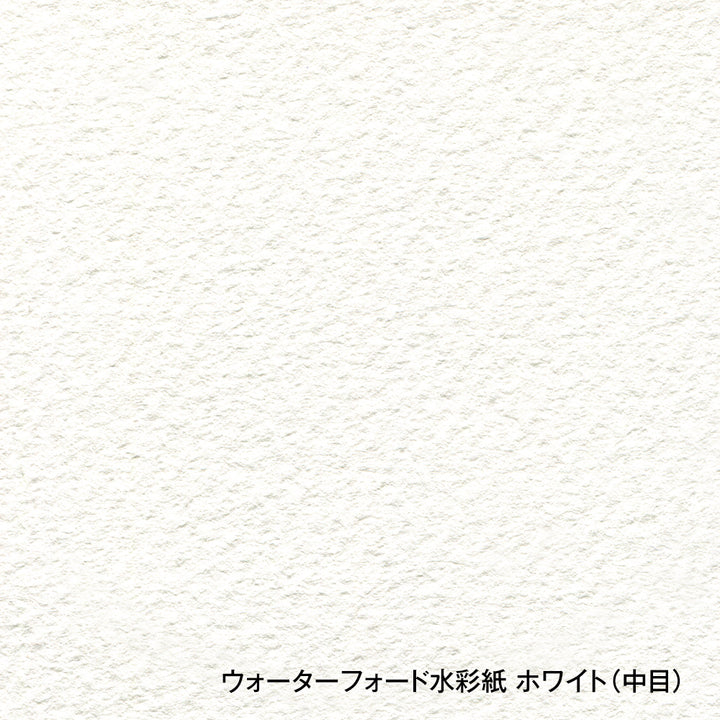 ウォーターフォード水彩紙 ホワイト ブロック 300g 中目 EHB