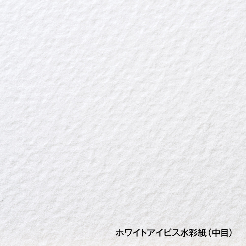 ホワイトアイビス水彩紙 ポストカードパック 300g 中目 WI-PCP